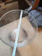 Grote vaas, Ophalen, Overige kleuren, Minder dan 50 cm, Glas