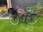 E-bike, Fietsen en Brommers, Fietsaccessoires | Aanhangers en Karren, 80 kg of meer, Overige typen, Ophalen of Verzenden, Zo goed als nieuw