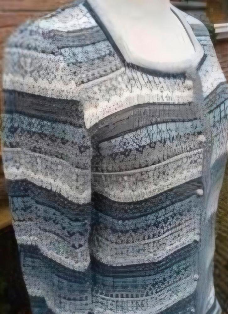 Oleana noors vest, Kleding | Dames, Truien en Vesten, Zo goed als nieuw, Maat 36 (S), Grijs, Verzenden