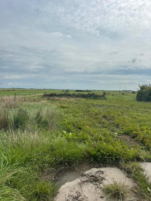 Agrarisch perceel wei, Dieren en Toebehoren, Stalling en Weidegang