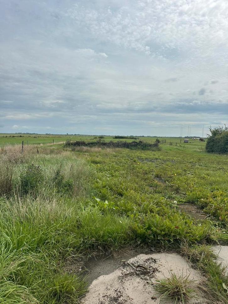 Agrarisch perceel wei, Dieren en Toebehoren, Stalling en Weidegang