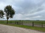 Pensioenstalling Zuid-Beijerland, Weidegang