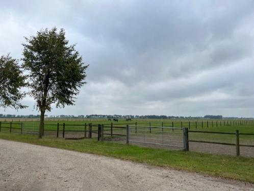 Pensioenstalling Zuid-Beijerland, Dieren en Toebehoren, Stalling en Weidegang, Opfok, Stalling, Weidegang