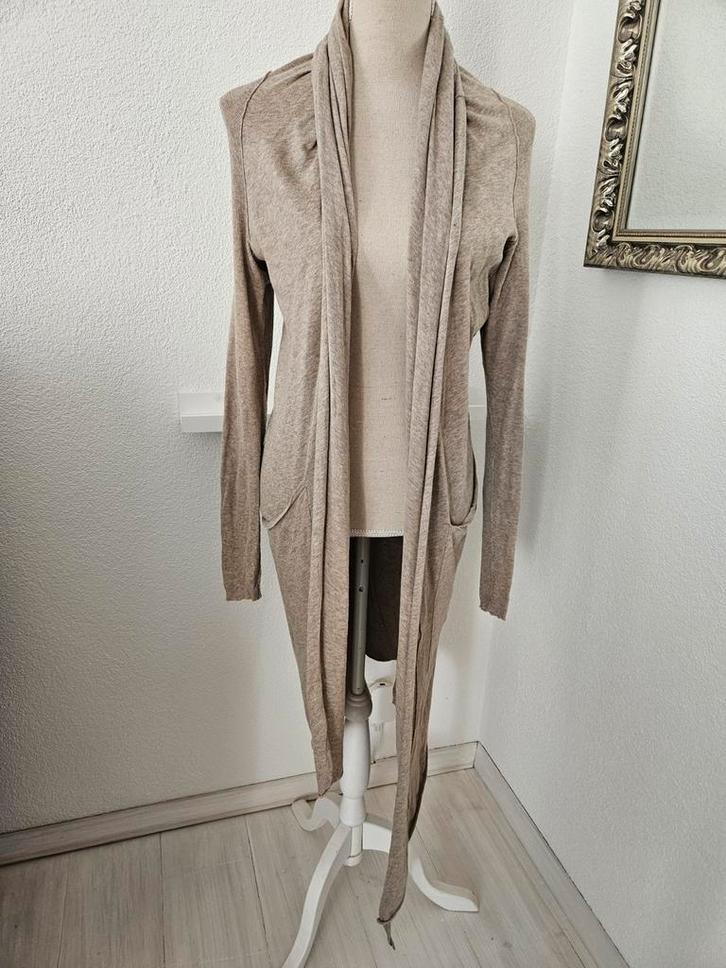 Vest AllSaints, Kleding | Dames, Huispakken, Zo goed als nieuw, Maat 38/40 (M), Beige, Ophalen of Verzenden