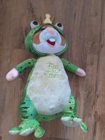 Efteling Hamster Kikker Knuffel, Kinderen en Baby's, Speelgoed | Knuffels en Pluche, Ophalen of Verzenden, Zo goed als nieuw, Kikker