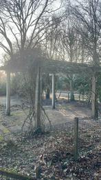 Pergola ( gebruikte staat) met blauwe regen gratis, Ophalen, Gebruikt, 250 cm of meer, Palen