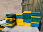 Bijenkasten, Dieren en Toebehoren, Insecten en Spinnen