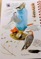 Marjolein bastin agenda 2025, Ophalen of Verzenden, 1980 tot heden, Gelopen, Seizoenen