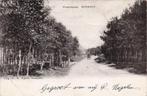 RY108 Nunspeet Elspeeterweg 1904, Verzenden, Voor 1920, Gelopen, Gelderland
