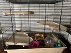 Mooie hamsterkooi, gerbil muis rat 58x55x38, Minder dan 75 cm, Zo goed als nieuw, Ophalen, Minder dan 60 cm