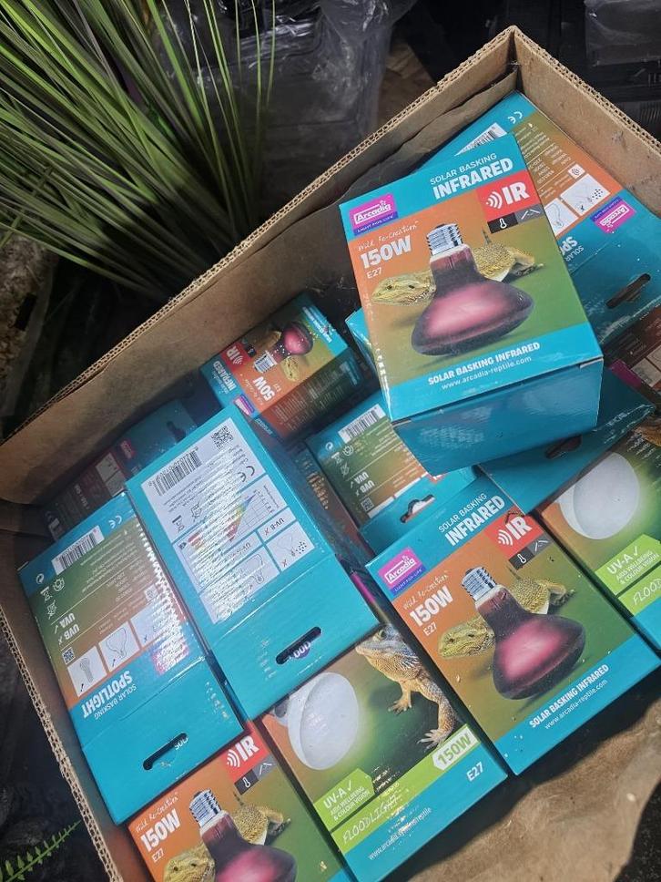 warmte lampen, Dieren en Toebehoren, Reptielen en Amfibieën | Toebehoren, Zo goed als nieuw, Verlichting, Ophalen of Verzenden