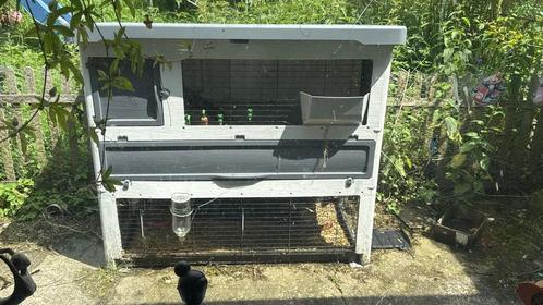 Stevig luxe veblijf voor u konijn., Dieren en Toebehoren, Knaagdieren en Konijnen | Hokken en Kooien, Gebruikt, Hok, 60 tot 90 cm