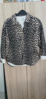 Nieuwe costes leopard oversized jeans jasje mt m, Costes, Ophalen of Verzenden, Nieuw, Overige kleuren