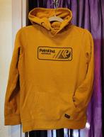 Petrol hoodie, Ophalen, Zo goed als nieuw, Jongen, Trui of Vest