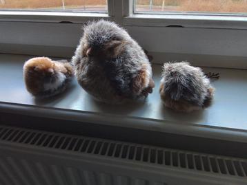 3 pluche vogeltjes voor decoratie  beschikbaar voor biedingen