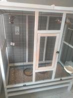 mooi jong zebra vinken met voliere, Dieren en Toebehoren, Ophalen of Verzenden, Zo goed als nieuw, Hout, Volière