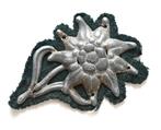 Edelweiss Cap Badge, Verzamelen, Verzenden, Landmacht, Duitsland, Embleem of Badge