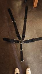 5-punts gordel kuipstoel - E-keurmerk, Auto diversen, Autosport-onderdelen, Ophalen of Verzenden, Zo goed als nieuw