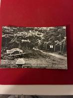 Oude ansichtkaart Terschelling - Dennenbossen, Verzamelen, Ophalen of Verzenden, 1960 tot 1980, Gelopen, Waddeneilanden