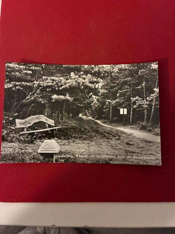 Oude ansichtkaart Terschelling - Dennenbossen, Verzamelen, Ansichtkaarten | Nederland, Gelopen, Waddeneilanden, 1960 tot 1980