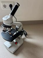 Euromax microscoop model MIC805-81 incl toebehoren, Ophalen of Verzenden, Zo goed als nieuw, Biologische microscoop