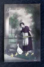 Ganseliesel, de ganzenhoedster - gans heeft kleintjes, Verzamelen, Verzenden, Voor 1920, Gelopen, Ambachten of Beroep