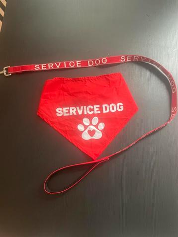 Service dog / hulphond bandana en riem beschikbaar voor biedingen