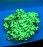 URANOCIRCIET DUITSLAND (=RA + UV), Ophalen of Verzenden, Mineraal