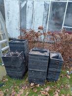 Kweekbak plantenbak, Ophalen of Verzenden, Gebruikt, Kweekbak