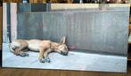 POSTER HOND, Ophalen