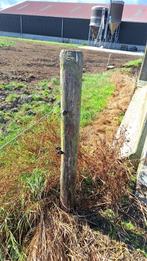 Weipalen, Weidegang, 4 paarden of pony's of meer