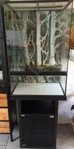 Exo terra terrarium paludarium, Dieren en Toebehoren, Ophalen, Zo goed als nieuw, Terrarium of Paludarium