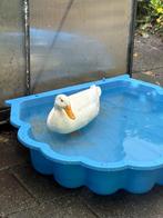 Witte Loopeend Woerd, Dieren en Toebehoren, Mannelijk, Eend