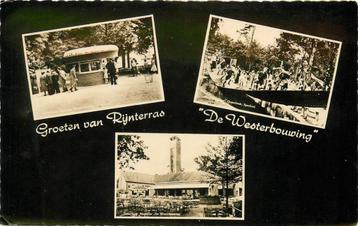 (387-043-035) Oosterbeek Rijnterras de Westerbouwing beschikbaar voor biedingen