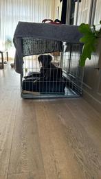 Honden bench groot, Ophalen, Zo goed als nieuw