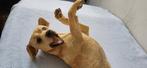 Prachtig beeldje ~ Blonde golden Labrador ~ Retriever, Ophalen, Zo goed als nieuw