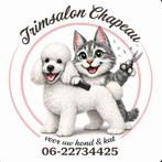 Trimsalon chapeau heeft weer plek, Februari, Meerdere dieren