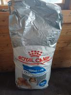 Hondenvoer, Ophalen, Hond