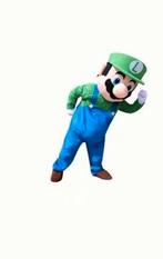 Luigi Te Huur Mascotte, Ophalen of Verzenden, Nieuw, Overige maten, Carnaval