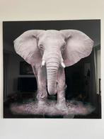 Glazen schilderij olifant, 80x80, Ophalen, Zo goed als nieuw, Schilderij, 75 cm of meer