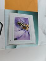 D-Vision DPF-740MR Digitale Fotolijst, Gebruikt, Ophalen of Verzenden, Kleiner dan 8 inch, Minder dan 1 GB