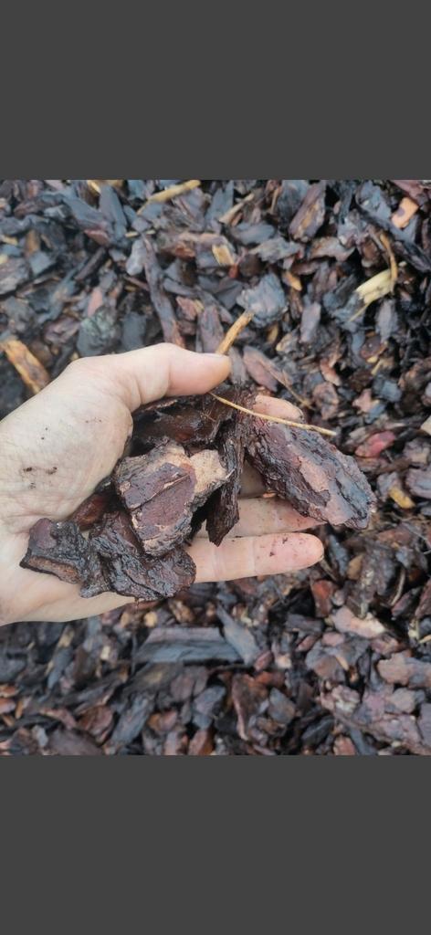 BOOMSCHORS los of big bag Denne schors bezorgen vanaf 55euro, Tuin en Terras, Overige Tuin en Terras, Nieuw, Ophalen of Verzenden