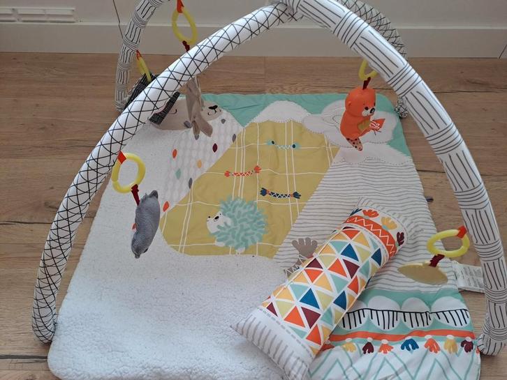 Fisher-Price Babygym, Kinderen en Baby's, Speelgoed | Babyspeelgoed, Zo goed als nieuw, Babygym, Met geluid, Ophalen
