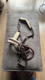 Ankie halster zgan, Dieren en Toebehoren, Paarden en Pony's | Hoofdstellen en Tuigage, Ophalen of Verzenden, Zo goed als nieuw