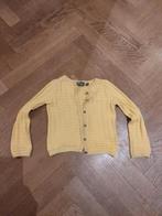 Tumble 'n dry vestje geel met glitter. Maat 104 3/4 jaar., Ophalen of Verzenden, Gebruikt, Meisje, Trui of Vest