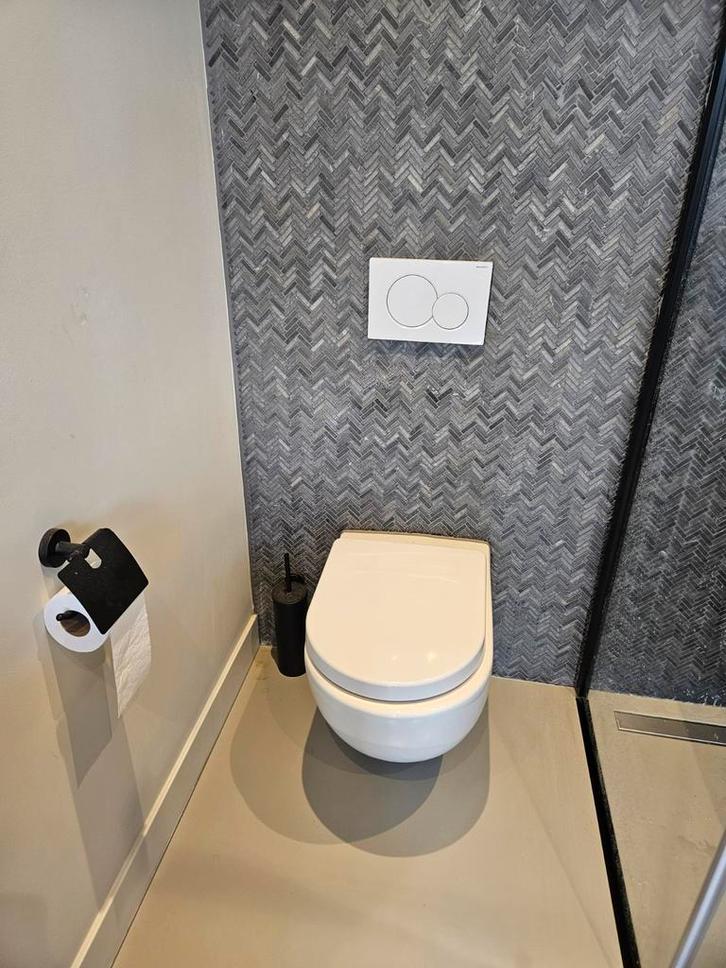 Toilet, Doe-het-zelf en Verbouw, Sanitair, Bad, Ophalen