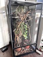 Terrarium, Dieren en Toebehoren, Reptielen en Amfibieën | Toebehoren, Ophalen, Gebruikt, Terrarium of Paludarium