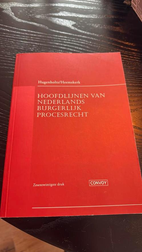 Hoofdlijnen van Nederlands Burgerlijk Procesrecht, Boeken, Wetenschap, Zo goed als nieuw, Ophalen of Verzenden