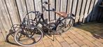 Transport fiets cortina U4, Ophalen, Gebruikt, 47 tot 50 cm, Versnellingen