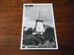 A35 - Rhenen - Molen - Oud, Verzamelen, Ansichtkaarten | Nederland, Ophalen of Verzenden, Utrecht